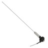 ANTENNA ASSEMBLY - AMPLITUDE MODULATION/FREQUENCY MODULATION, , 31 IN, SPRING
