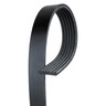 MULTI V-BELT - EPDM, 6 RIB X 50.5 LONG